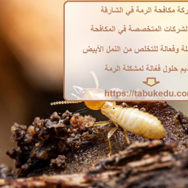 شركة مكافحة الرمة في الشارقة