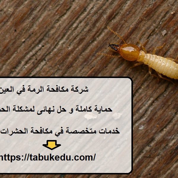 شركة مكافحة الرمة في العين