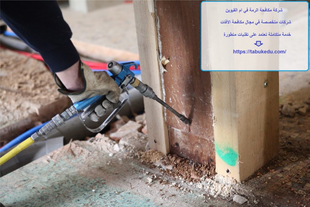 شركة مكافحة الرمة في ام القيوين