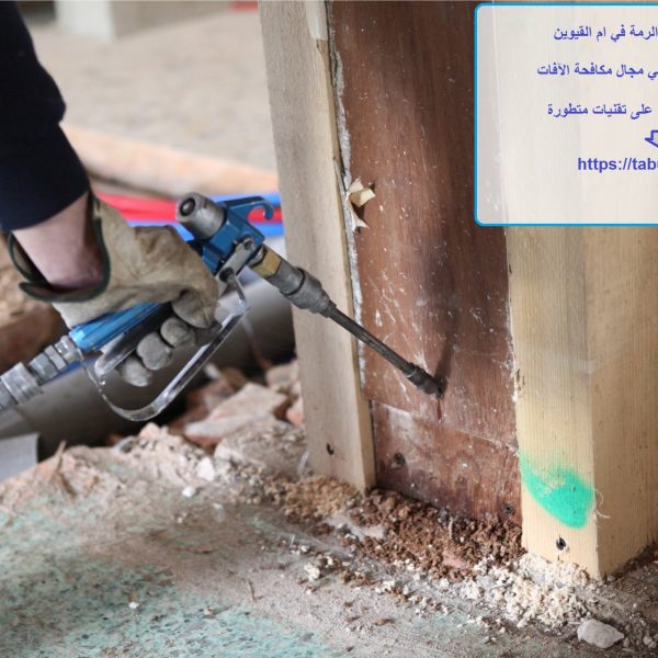 شركة مكافحة الرمة في ام القيوين