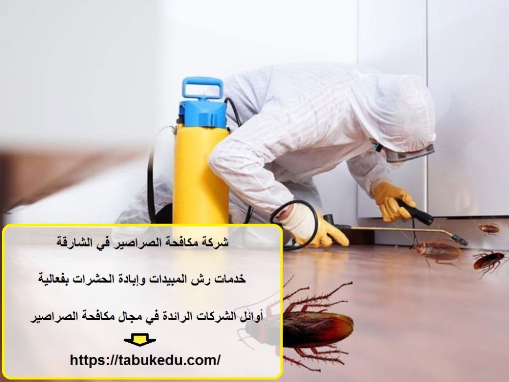 شركة مكافحة الصراصير في الشارقة