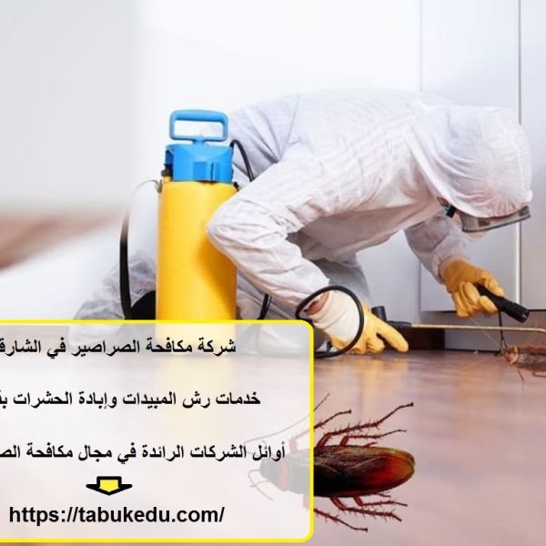 شركة مكافحة الصراصير في الشارقة