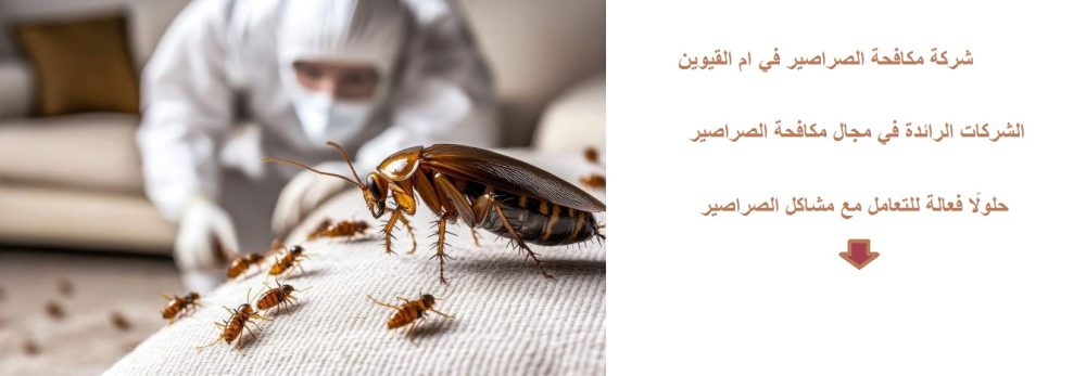 شركة مكافحة الصراصير في ام القيوين
