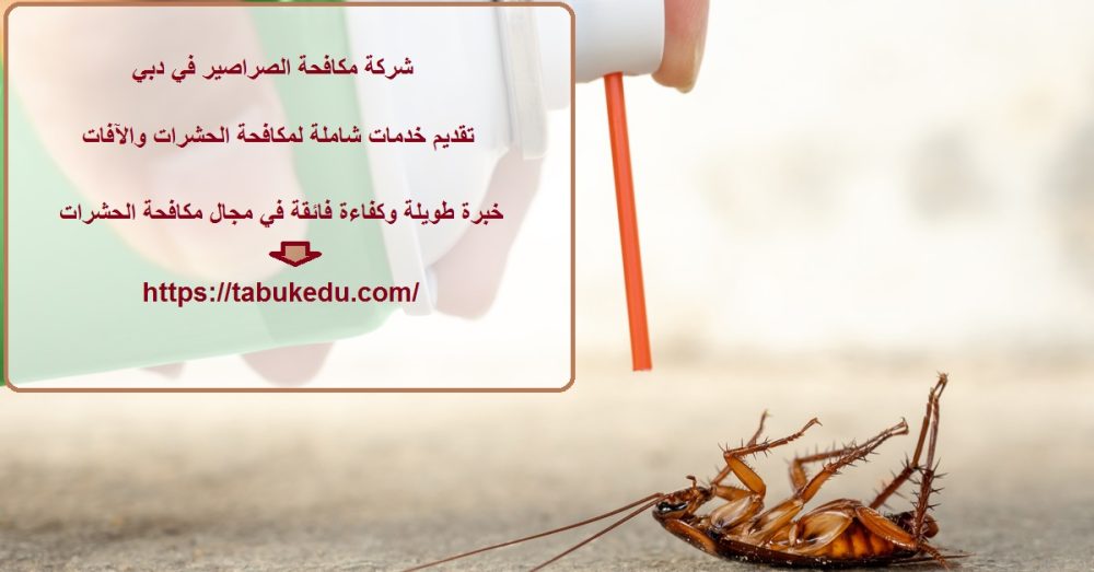 شركة مكافحة الصراصير في دبي