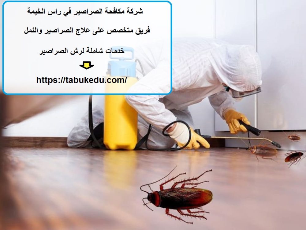 شركة مكافحة الصراصير في راس الخيمة