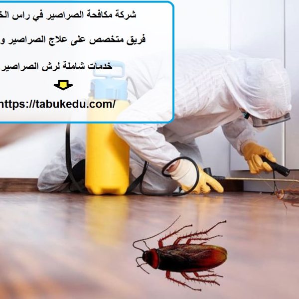 شركة مكافحة الصراصير في راس الخيمة