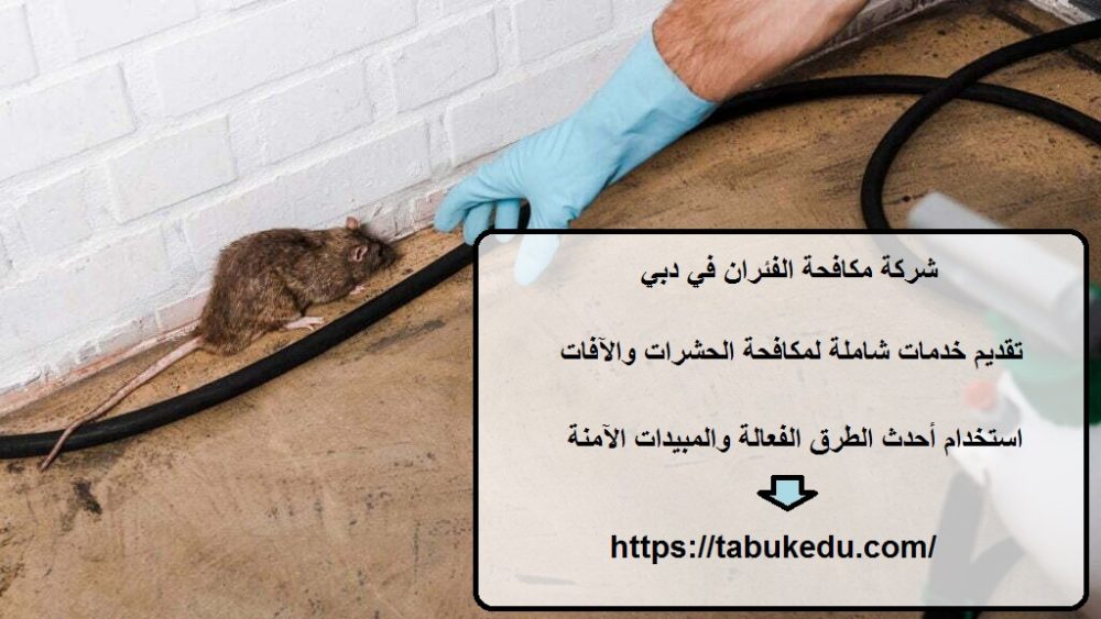 شركة مكافحة الفئران في دبي