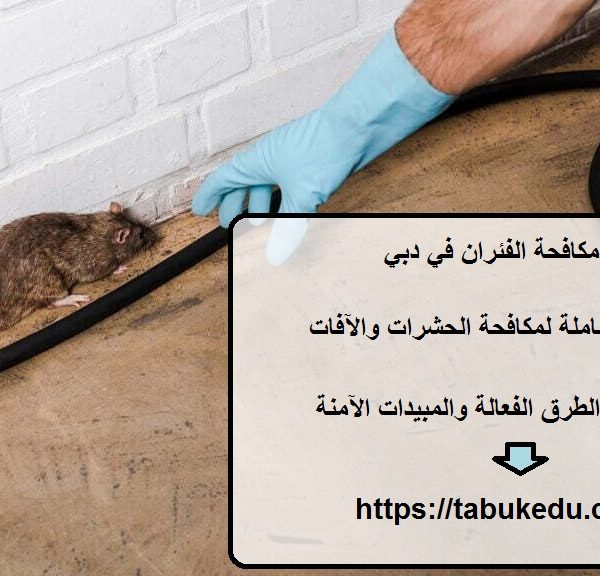 شركة مكافحة الفئران في دبي