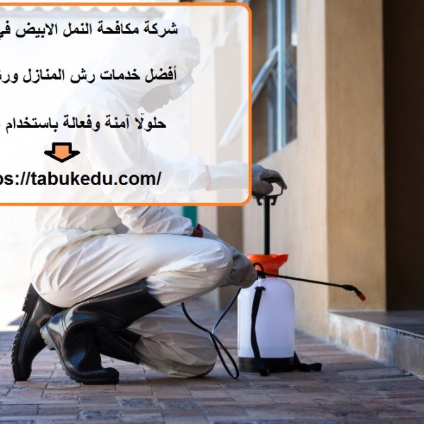 شركة مكافحة النمل الابيض في الشارقة