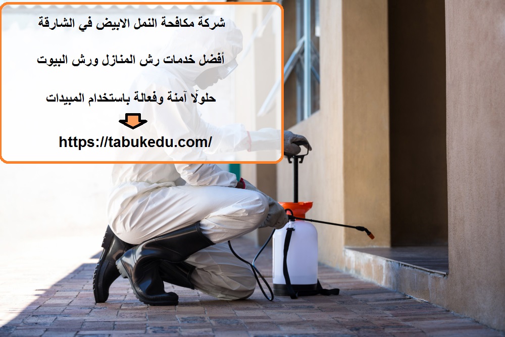 شركة مكافحة النمل الابيض في الشارقة