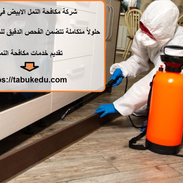 شركة مكافحة النمل الابيض في العين