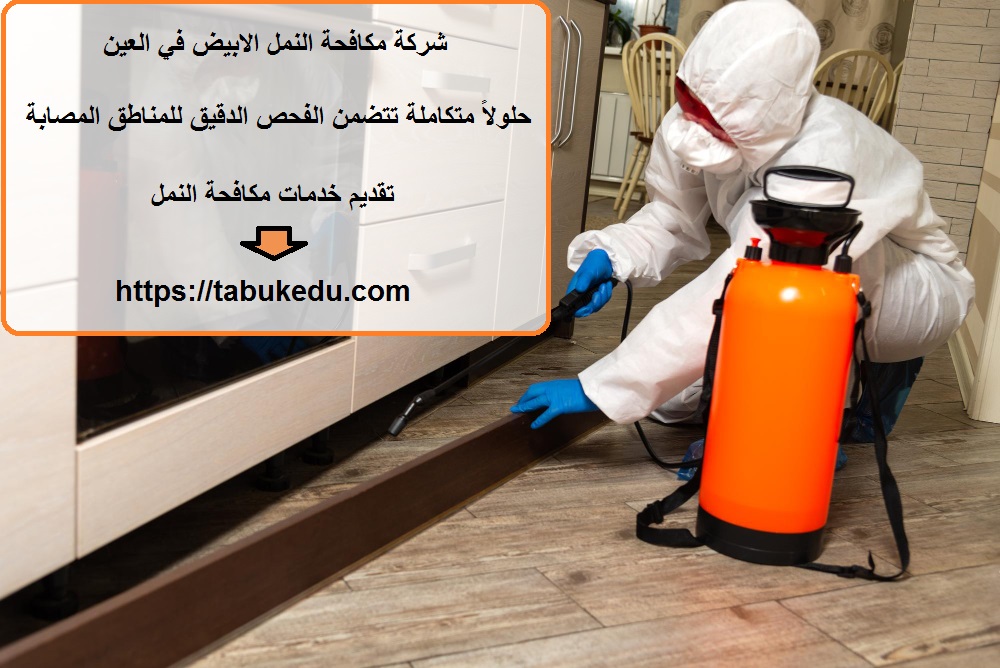 شركة مكافحة النمل الابيض في العين