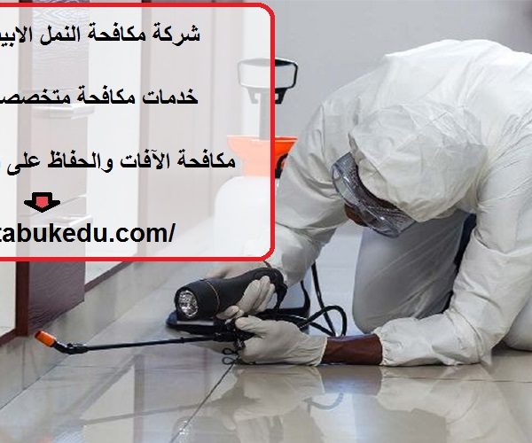 شركة مكافحة النمل الابيض في الفجيرة