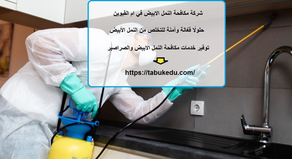 شركة مكافحة النمل الابيض في ام القيوين