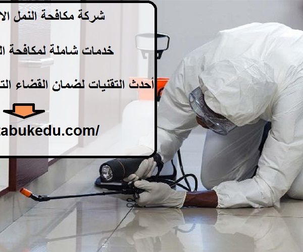 شركة مكافحة النمل الابيض في دبي