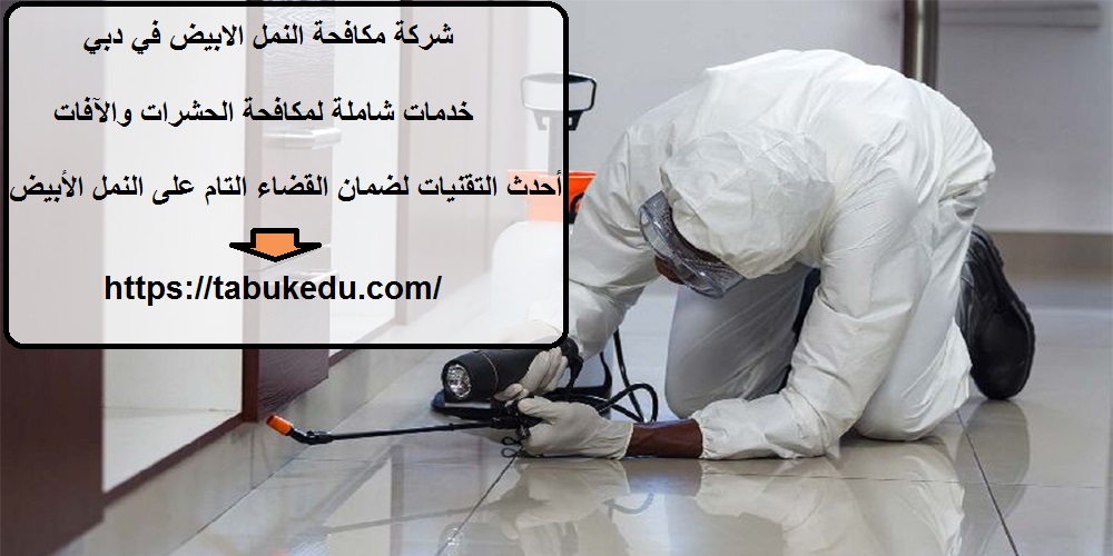 شركة مكافحة النمل الابيض في دبي