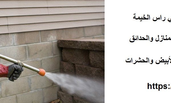 شركة مكافحة النمل الابيض في راس الخيمة