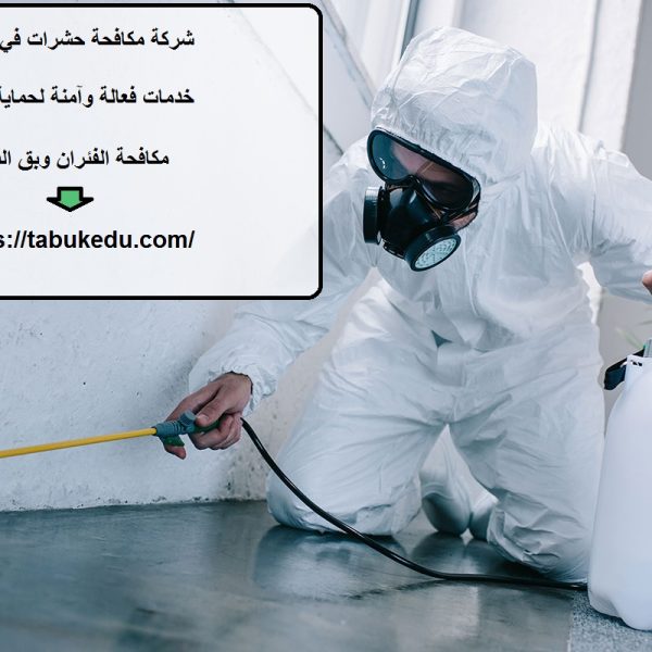 شركة مكافحة حشرات في ابوظبي