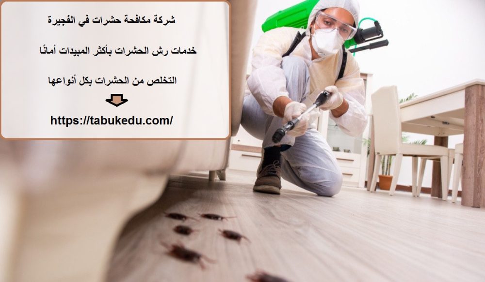شركة مكافحة حشرات في الفجيرة