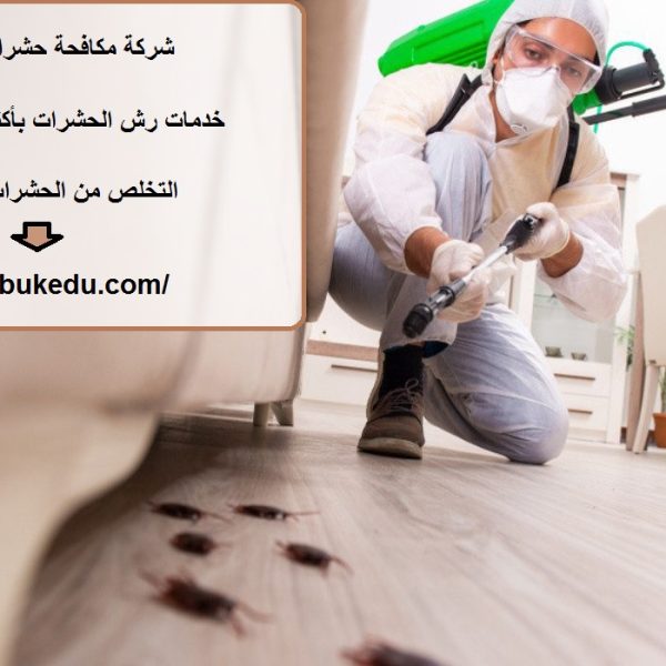 شركة مكافحة حشرات في الفجيرة