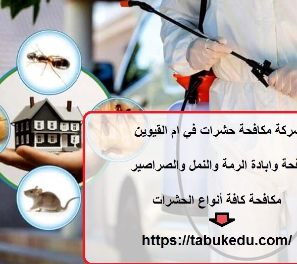 شركة مكافحة حشرات في ام القيوين