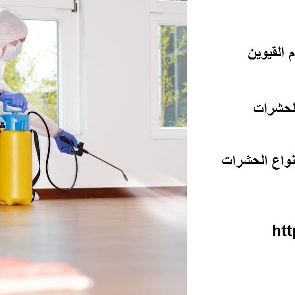 شركة مكافحة حشرات في ام القيوين