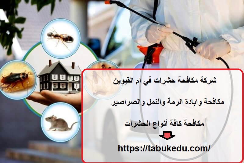 شركة مكافحة حشرات في ام القيوين