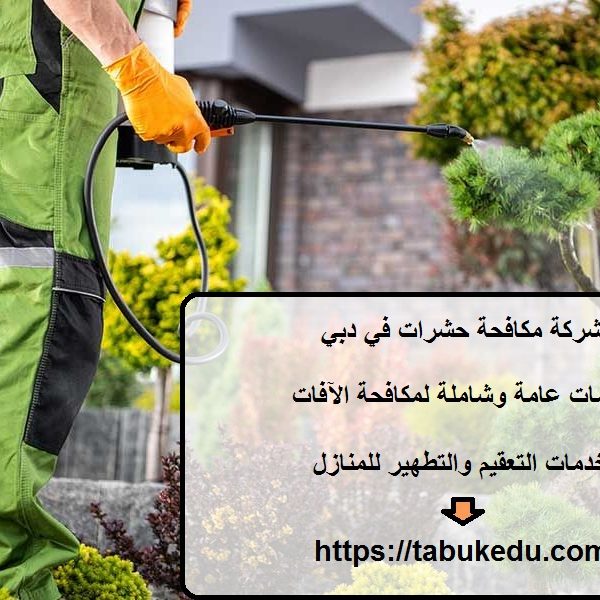 شركة مكافحة حشرات في دبي