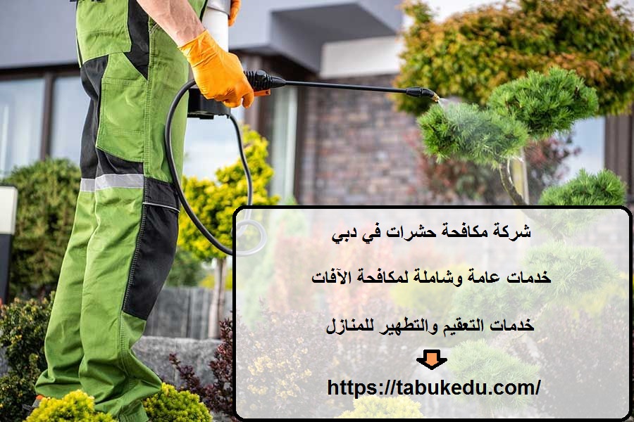 شركة مكافحة حشرات في دبي