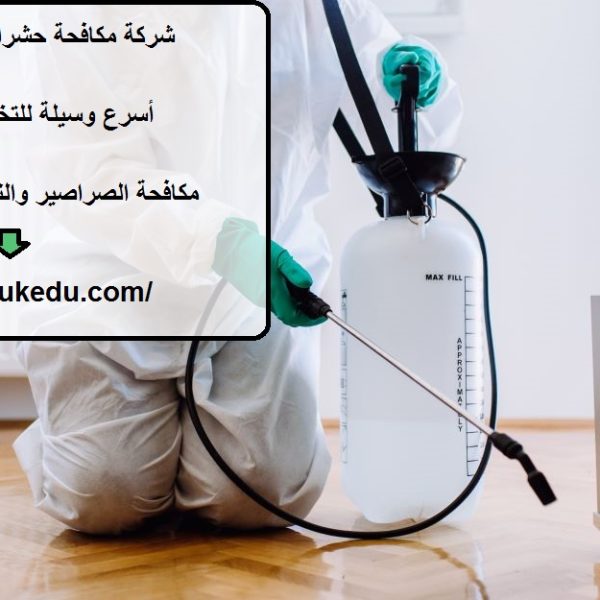 شركة مكافحة حشرات في راس الخيمة