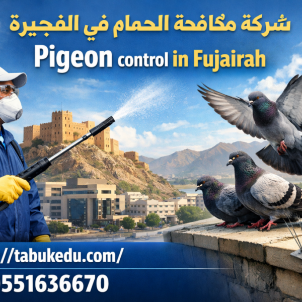 Pigeon control in Fujairah