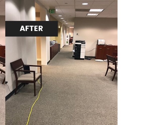 شركة تنظيف سجاد في العين