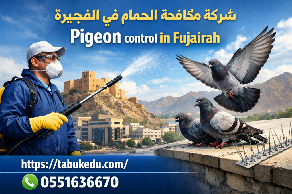 شركة مكافحة الحمام في الفجيرة