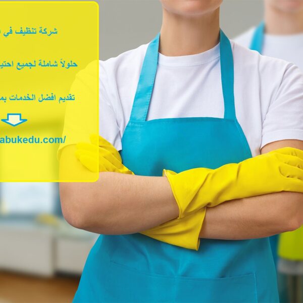 شركة تنظيف في البرشاء