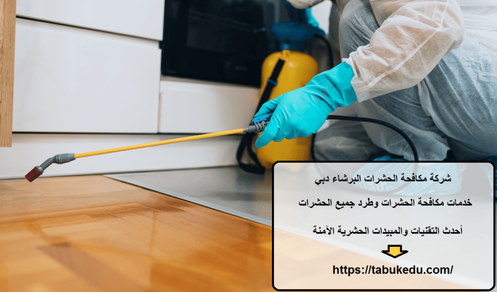 شركة مكافحة الحشرات البرشاء دبي