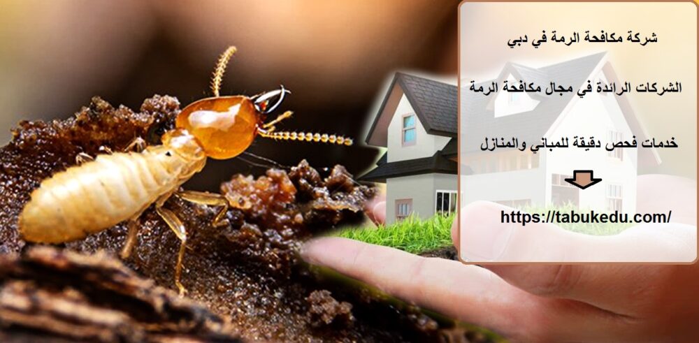 شركة مكافحة الرمة في دبي