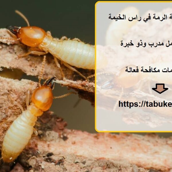 شركة مكافحة الرمة في راس الخيمة