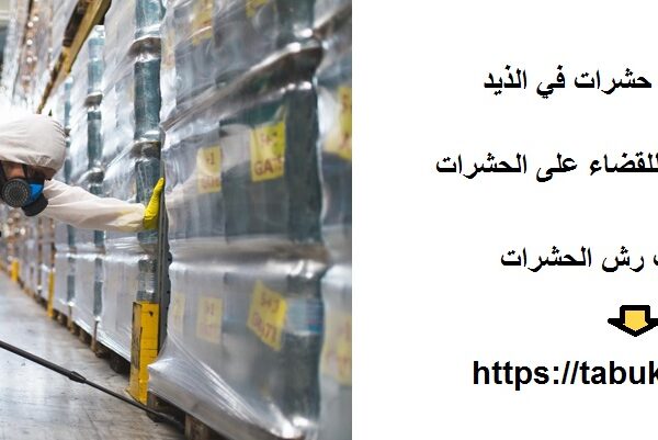 شركة مكافحة حشرات في الذيد
