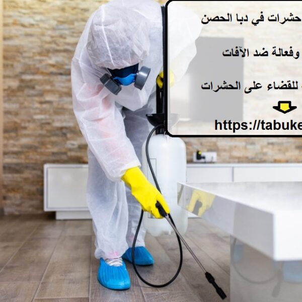 شركة مكافحة حشرات في دبا الحصن