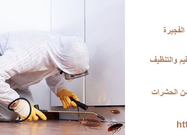 شركة مكافحة حشرات في دبا الفجيرة