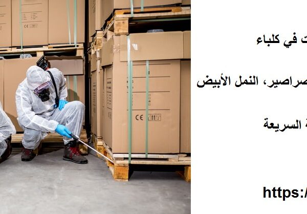شركة مكافحة حشرات في كلباء