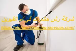 [صورة: شركة-رش-حشرات-في-ام-القيوين-300x202.jpg.webp]