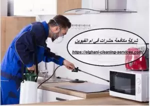 [صورة: شركة-مكافحة-حشرات-في-ام-القيوين-300x212.jpg.webp]