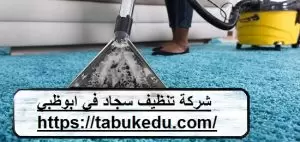 [صورة: شركة-تنظيف-سجاد-فى-ابوظبى-300x142.jpg.webp]