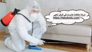 شركة مكافحة حشرات فى الوقن العين